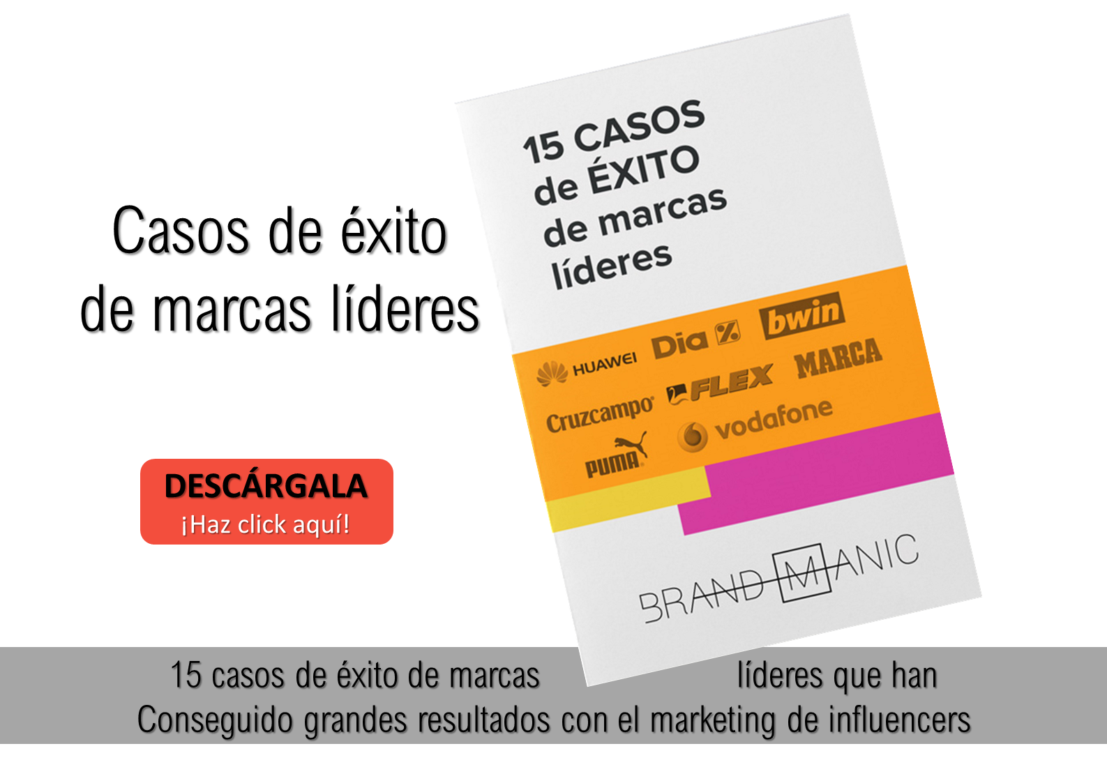 Empresas que han triunfado en el marketing de influencers Empresas de diferentes sectores que han conseguido el éxito en el marketing de influencers